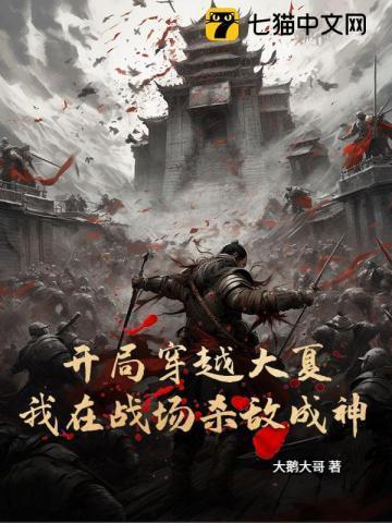 穿越大夏王朝打卡的
