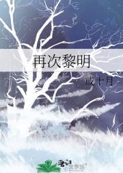 再无黎明真实事件