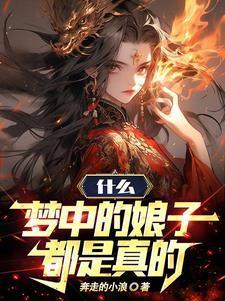 梦中的娘子都是真的全文TXT