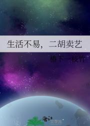 生活不易小猫卖艺