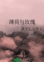 薄荷与玫瑰